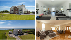 PICTURES: Stunning Louth property boasting breathtaking scenery with home gym hits the market