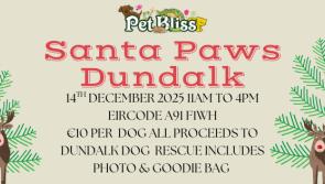 Santa Paws is coming to Dundalk