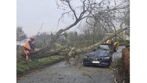 LIVE: driver has miraculous escape as tree falls on car during Storm Bram