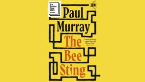 An T&aacute;in Book Club returns to Dundalk's Roe River Books