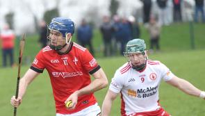 Louth fall to Tyrone defeat in NHL tie