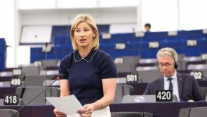 Louth MEP calls for dedicated funding for PEACEPLUS in EU budget