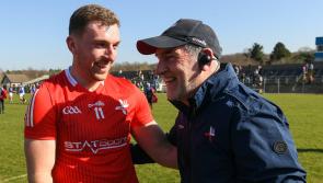 Ruthless attacking sees Louth overcome Wicklow to seal promotion to Division Two