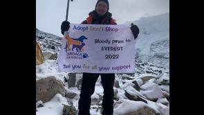 Ryan raises over 10k for Dundalk Dog Rescue