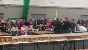 WATCH: Sinn Fein's Joanna Byrne is second candidate elected in Louth