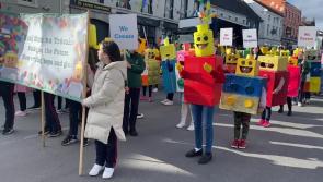 VIDEO: Scoil Mhuire na Trócaire winners at Ardee St Patrick's Day parade