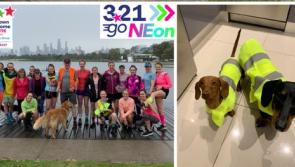 Down Syndrome Centre North East's virtual fundraiser takes place tomorrow