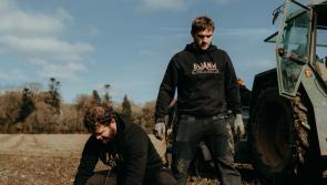 Louth distillery planting 2,000 trees to offset barrel use