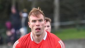 Louth secure first win despite late Limerick comeback