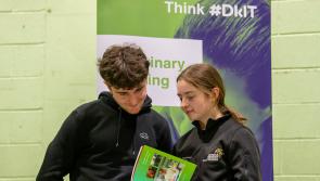 Dundalk Institute to hold CAO Information Day