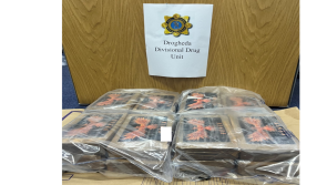 Man arrested following €1.12 million cocaine seizure in Louth 
