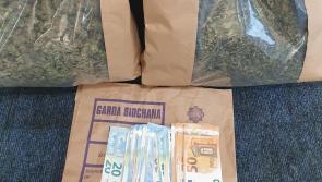 Two arrested following significant drugs and cash seizure in Roscommon