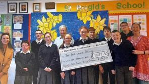 Dundalk Lions raise over €28k on Daffodil Day