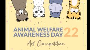 Kids in Louth urged to enter Animal Welfare Awareness Day art competition 