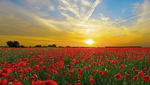 Sunday's weather forecast for Louth
