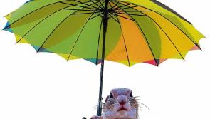 Saturday's weather forecast for Louth 