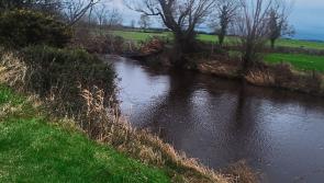 European funding granted to help increase biodiversity near Louth rivers