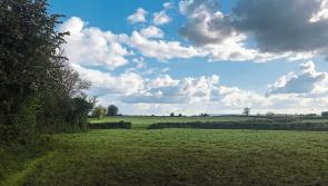 Trip Through Time: Dundalk's agricultural past