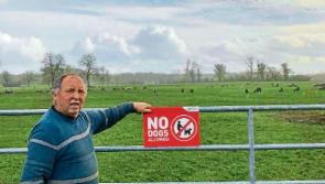 IFA issue reminder of ban on dogs on farmland as peak lambing season underway 