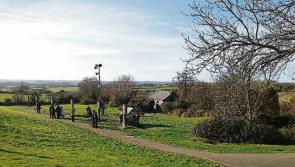 St. Brigid’s Day Public Holiday time to celebrate Louth woman’s Life 
