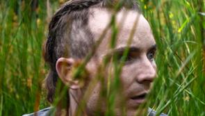 A good year for Irish cinema just got better