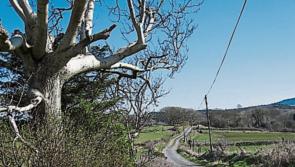 €304k for upgrade works on rural roads and laneways in Louth