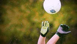 Division Two Roundup: Wins for Roche Emmets and Clan Na Gael