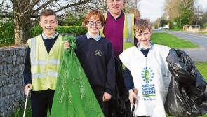 A spring clean-up by Dromiskin volunteers