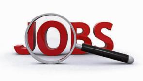 CENSUS 2016: IT, Finance, Construction and Social Work job roles increase in Louth