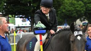 Ardee's Rachel puts on big display at Dublin Horse Show