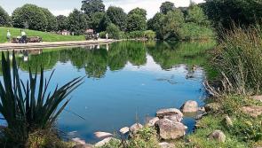 Four parks in Louth win An Taisce Green Flag awards