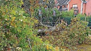 Cllr Meenan calls on council to meet Ladywell group