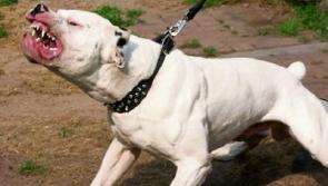 Two elderly women attacked by the same dog in Muirhevnamor