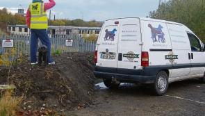 Dawn of new era for Dundalk Dog Rescue