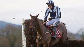 THE PUNTER'S EYE: Ball D'Arc can continue winning ways at Fairyhouse on Sunday