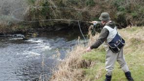 Funding announced for fisheries conservation initiatives in Louth