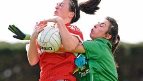 BREAKING: Louth Ladies on the look out for new management