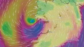 OPHELIA: Dept of Social Protection cancels all appointments