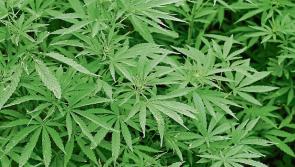 Huge €1m drug bust in Dublin Airport sees gardaí arrest and charge a man in his 30s