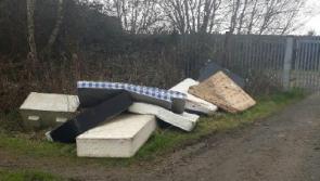 'Rampant' illegal dumping in Louth a 'major nuisance'