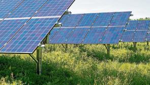 Planning application lodged for 155 acre solar farm outside Dundalk