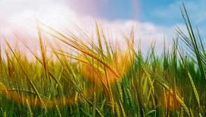 Monday's weather forecast for Louth 