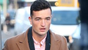 Jury told two gardai saw All-Star hurler kicking man on the ground during 'fight'