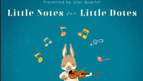 Classical music for tots coming to Dundalk's An Táin