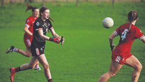 First half goals secure a valuable victory for Louth against Offaly