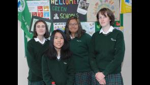 PICTURES: Open day at St Louis School Dundalk 