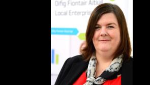 Louth LEO supported  19 high-potential local companies last year