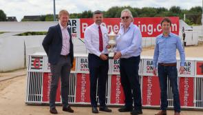 Family Fun Day takes place  Dundalk Stadium next week