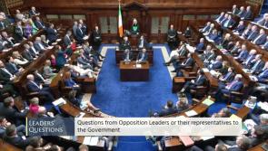 'Resume your seats!' Dáil suspended amid chaotic scenes over speaking rights row