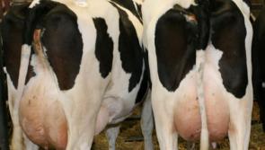 Louth IFA say most co-ops failed to pass back full value of the Ornua PPI 